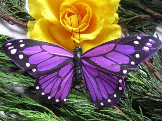 Photo:  Purple Butterfly